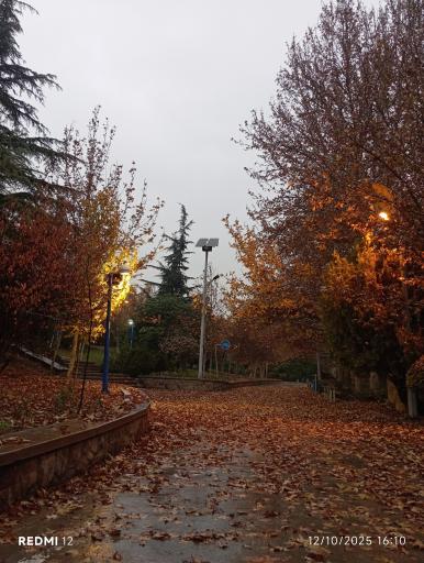 عکس بوستان گفتگو