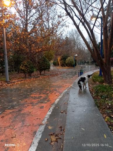 عکس بوستان گفتگو