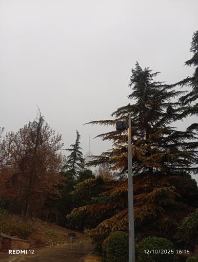 عکس بوستان گفتگو