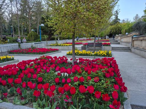 عکس بوستان گفتگو