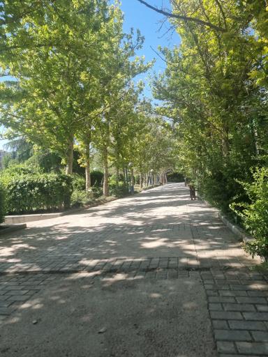 عکس بوستان گفتگو