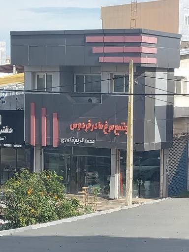 دفتر مرکزی مرغ مادر فردوس