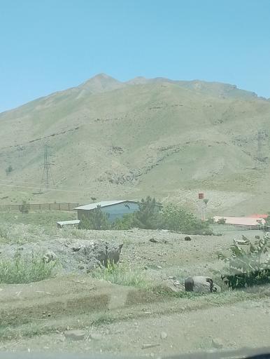 عکس باشگاه سوارکاری کیانی