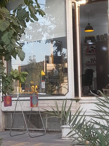 عکس آرایش و پیرایش موکده