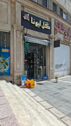 عکس گل فروشی لیونا