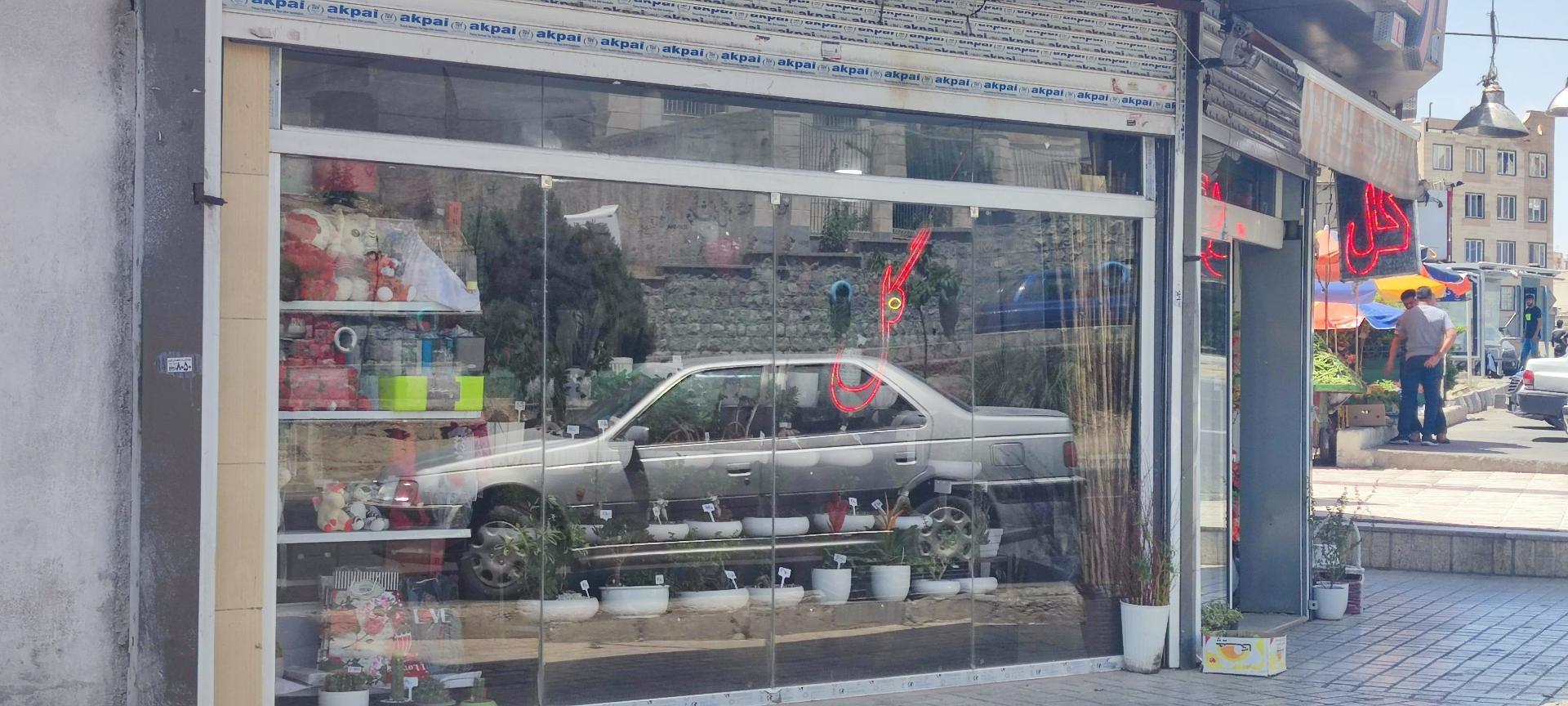 عکس گل ارکیده