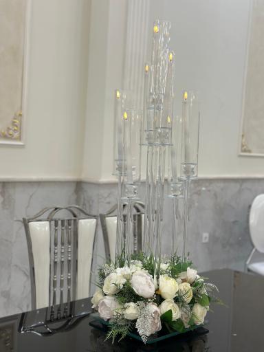 عکس باغ عمارت امین