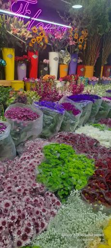 عکس گل فروشی  رزگل