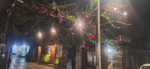 عکس متل پدربزرگ