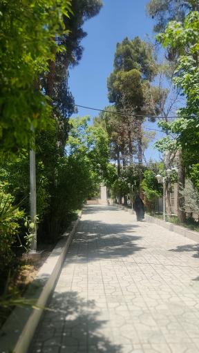 عکس مسجد شاه قیس