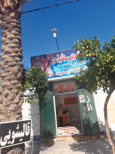 عکس قالیشویی و مبل شویی باران