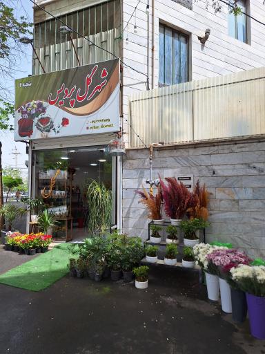 عکس شهر گل فردیس