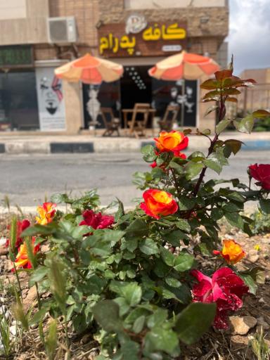 عکس کافه پدرام