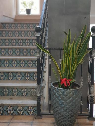 عکس عمارت هفت دری(هتل سنتی)