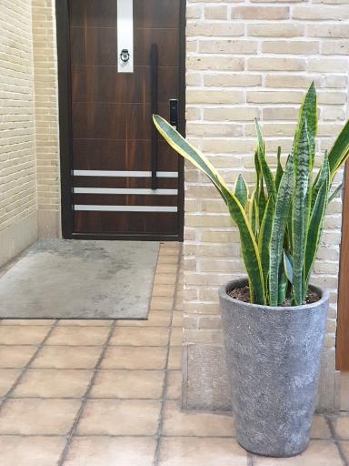 عکس عمارت هفت دری(هتل سنتی)