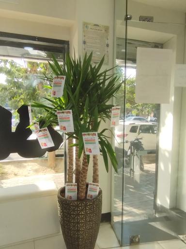 عکس داروخانه دکتر فرحناز شفیعی