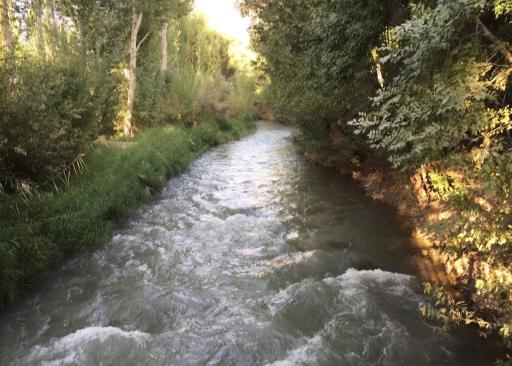 عکس باغ رستوران لاله