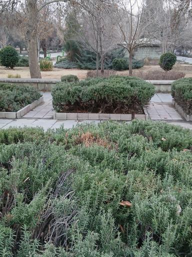 عکس بوستان سبزه