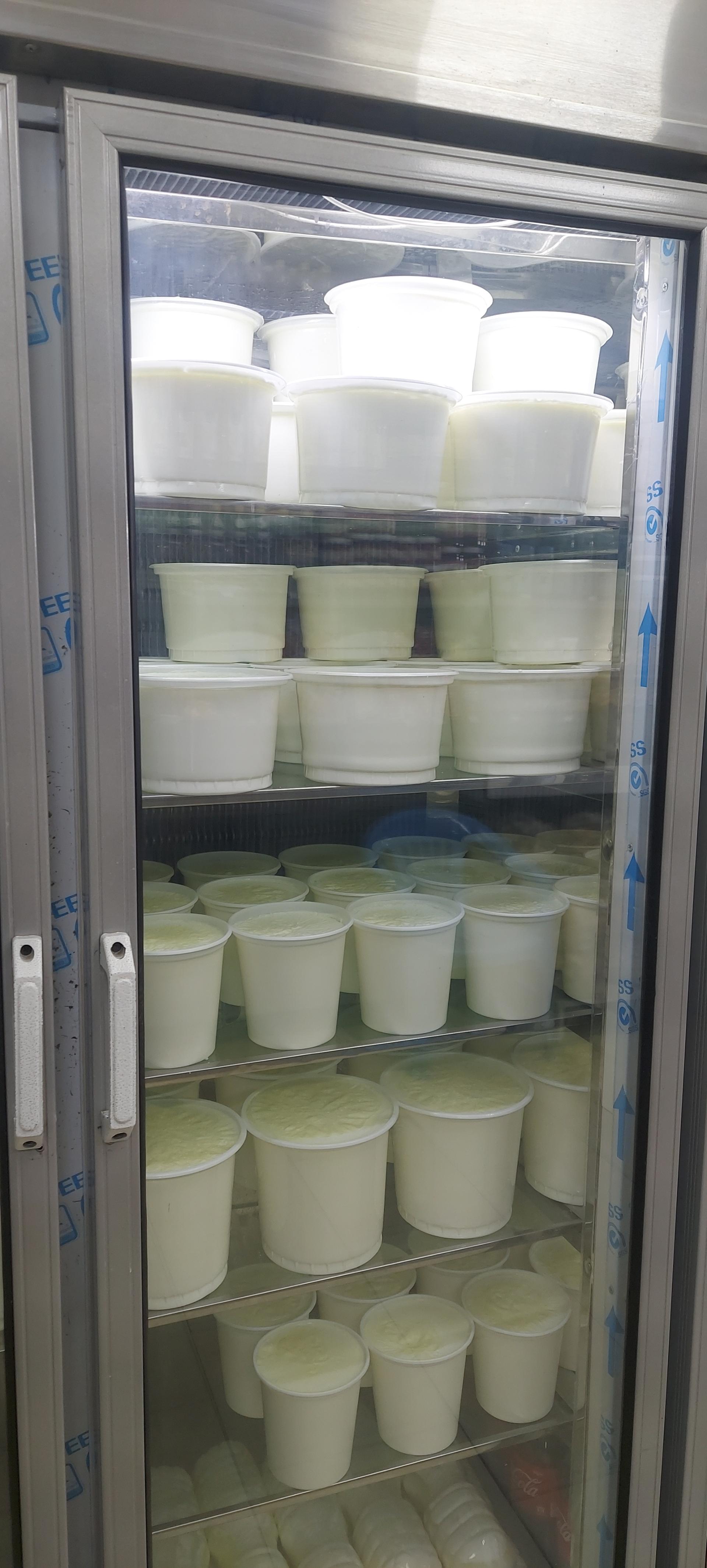 عکس لبنیات سنتی پاسداران