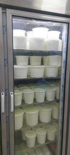 لبنیات سنتی پاسداران