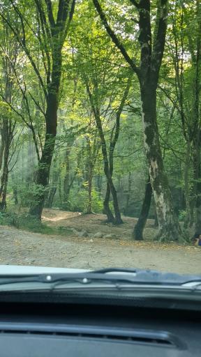 عکس منطقه حفاظت شده جهان نما