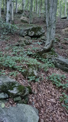 عکس منطقه حفاظت شده جهان نما