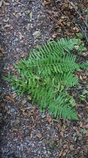 عکس منطقه حفاظت شده جهان نما