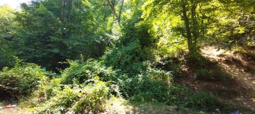 عکس منطقه حفاظت شده جهان نما