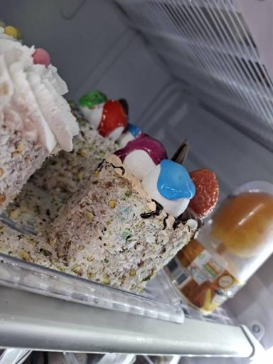 عکس کافه اسپرسو بستنی