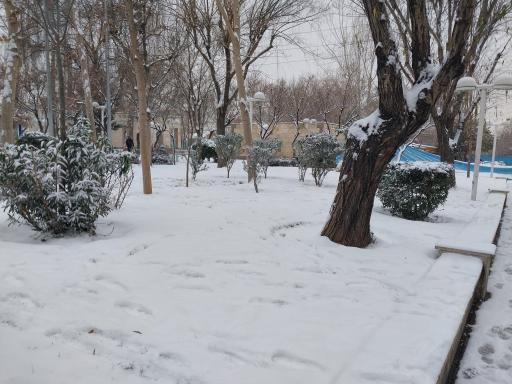 عکس بوستان تاجیکستان