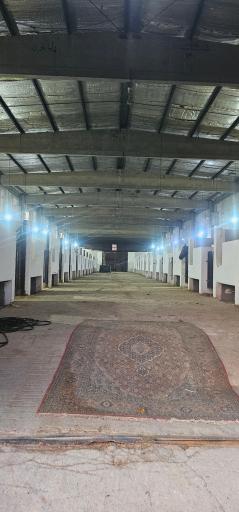 عکس باشگاه سوارکاری کوروش