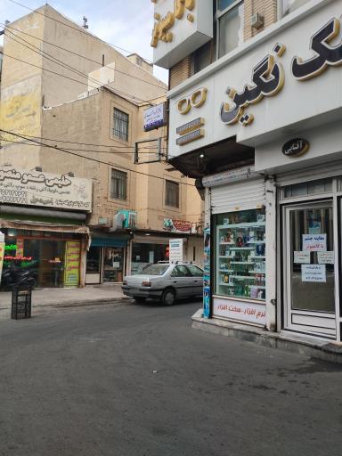 عکس دکتر زهره احمدی دکترای حرفه ای پزشکی