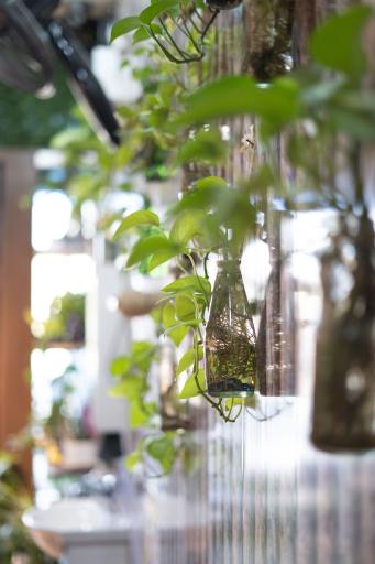 کافه رز آبی