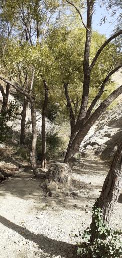 چشمه کوهسار