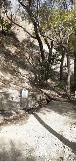 چشمه کوهسار