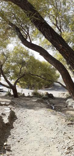 چشمه کوهسار