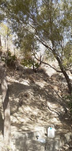 چشمه کوهسار