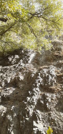 چشمه کوهسار