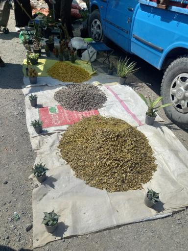 عکس پنجشنبه بازار فولاد شهر 