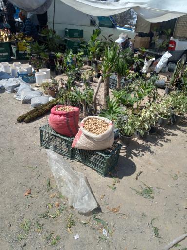 عکس پنجشنبه بازار فولاد شهر 