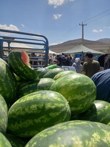 عکس پنجشنبه بازار فولاد شهر 