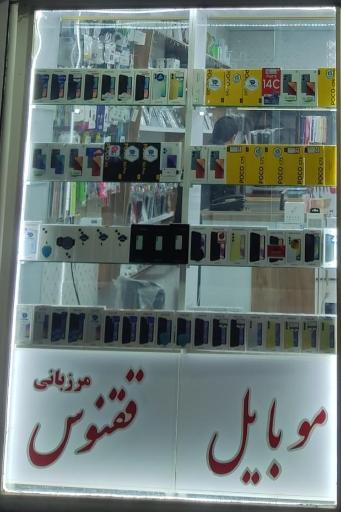 عکس موبایل ققنوس مرزبانی