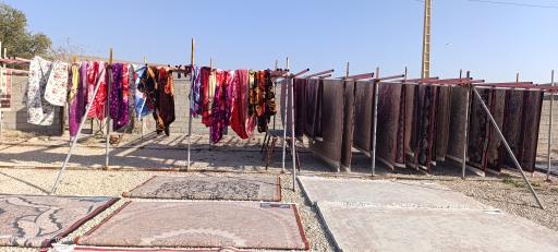 عکس قالیشویی کرونی