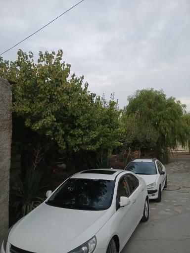 عکس پارکینگ باشگاه اسب سواری