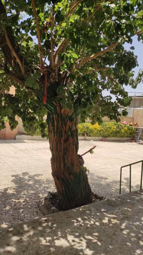 عکس مسجد امام سجاد (ع)