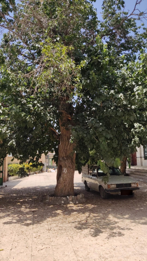 عکس مسجد امام سجاد (ع)