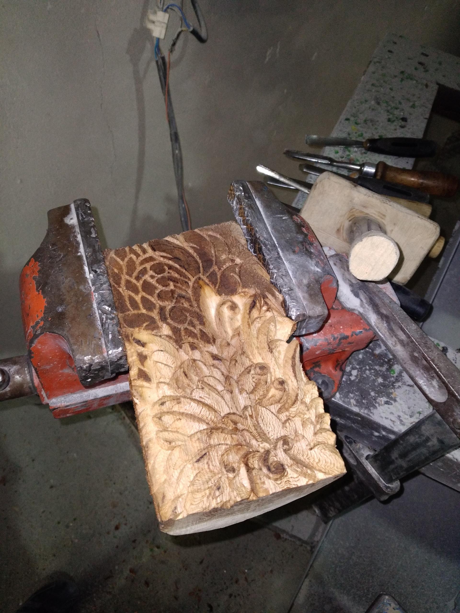 عکس منبت کاری صادق