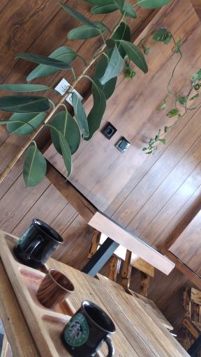 عکس کافه نایت