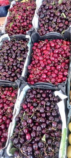 عکس ارزانسرای میوه و تره بار چهارفصل