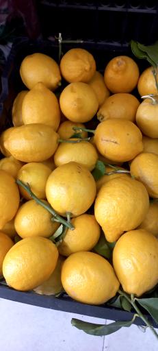 عکس ارزانسرای میوه و تره بار چهارفصل